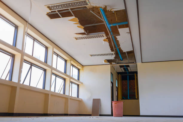 Best Water damage restoration near me  in Bon Air, VA