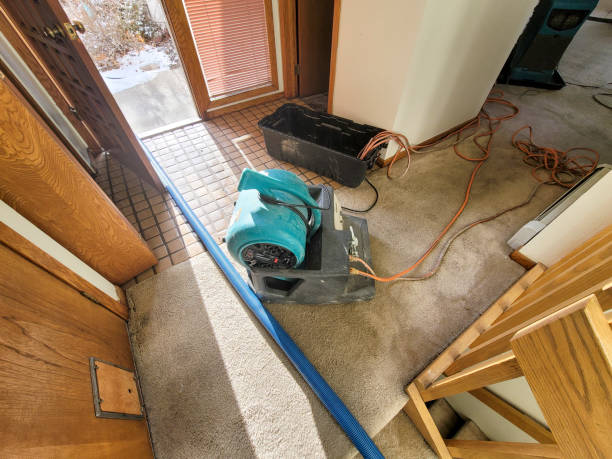 Best Water damage mitigation services  in Bon Air, VA