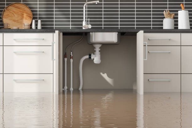Best Water damage restoration insurance claims  in Bon Air, VA