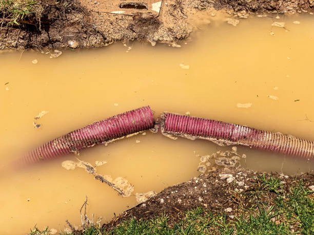 Best Professional water damage repair  in Bon Air, VA